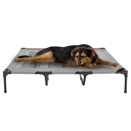 Pet Adobe Elevated Portable Pet Bed Cot-Style 48 inx35.5 inx9 in for Dogs and Small Pets, Indoor/Outdoor (Gray) 532169MPL